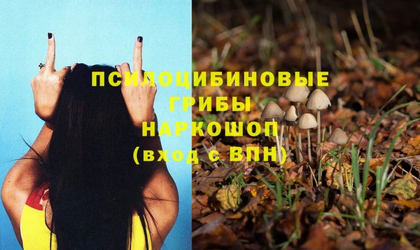 бутик Карпинск