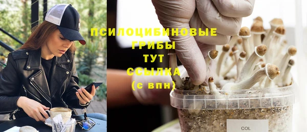 не бодяженный Домодедово