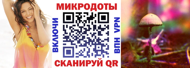 ссылка на мегу   Данков  Псилоцибиновые грибы мицелий 